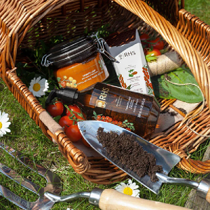 Hand Care Collection - Tomato Leaf